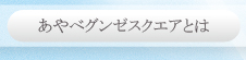 あやべグンゼスクエアとは